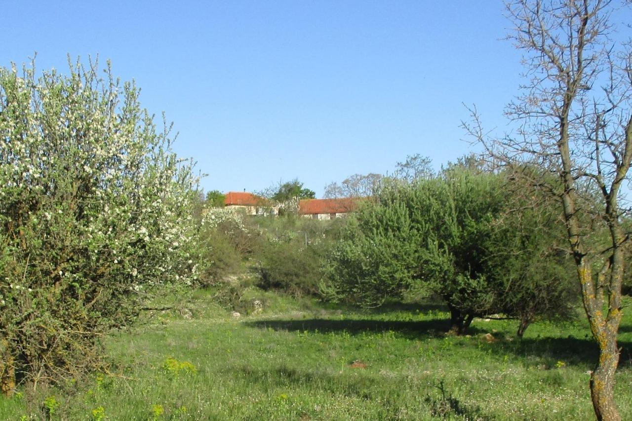 Arcadian Stone House In A Quiet Landscape, Leonidion Villa Poúlithra Buitenkant foto
